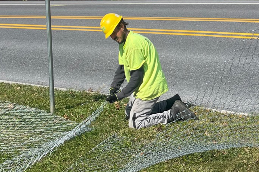 Worker installing roll of fencing onto poles
